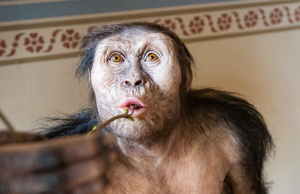 «عمة البشرية لوسي» في براغ لـ 60 يوماً FOTO - www.nm.cz