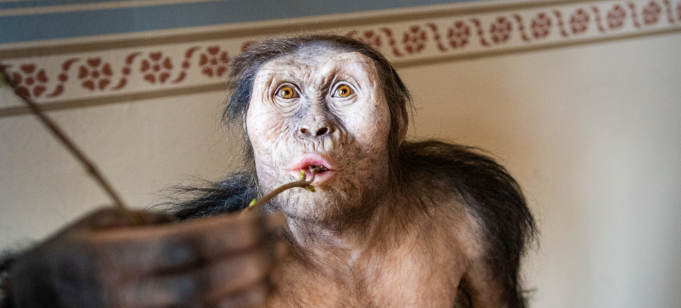 FOTO - www.nm.cz FOTO - www.nm.cz